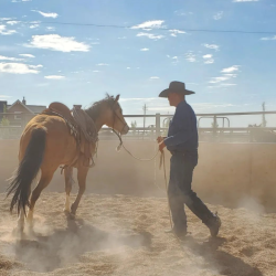 Colt Starting