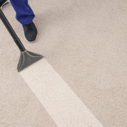 Carpet Cleaning