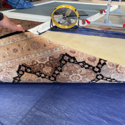 Area & Oriental Rug Cleaning