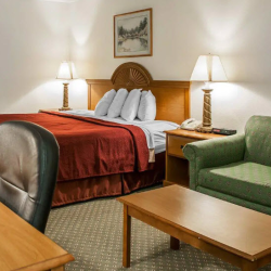 Pet-Friendly Accommodation