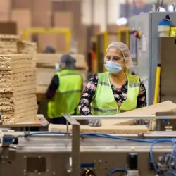 Printing & Die-Cutting Staffing