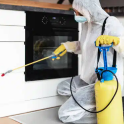 Roach Exterminator Services