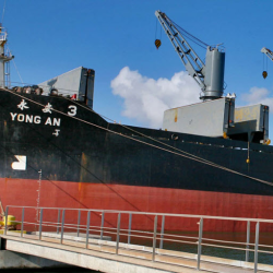 Dry Bulk Cargo Handling