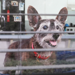 Short & Feature Films