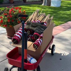 Home & Garden Décor