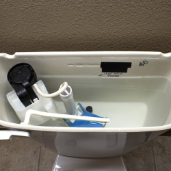 Toilet Repair/Replacement