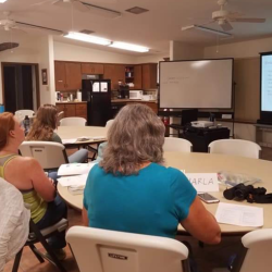 Teacher Programs and Resources