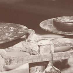 Mexican Pan Dulce Baking Classes