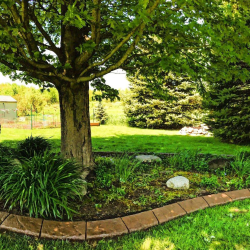 Landscape Curbing & Edging