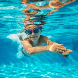 Swim