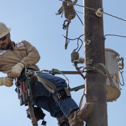 Electricity Service