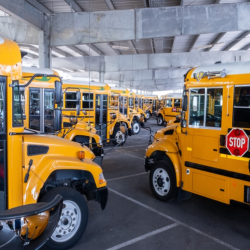 School Transportation Services