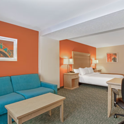 Pet-Friendly Accommodations