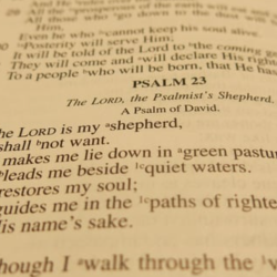 Sacrament of Anointing of the Sick