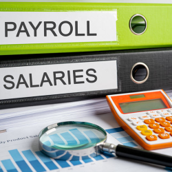 Payroll Reviews