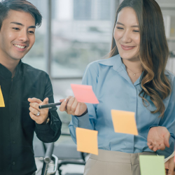 Brand Marketing Consultation