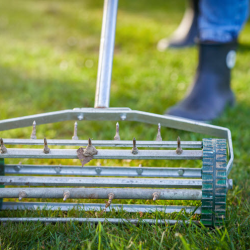 Lawn Aeration