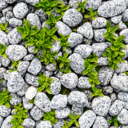 Rock and Gravel Weed Control
