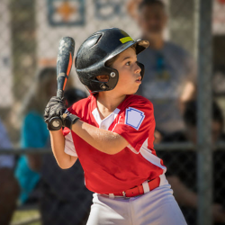 Batting Cage Rentals