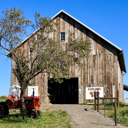 Playhouse Barn