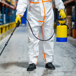 Commercial Pest Control