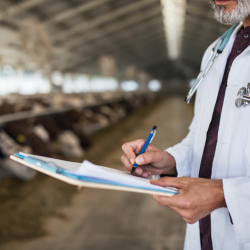 Feedstock for Medical Supplies