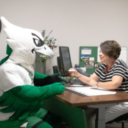 Insurance & Billing Assistance