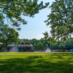 Parks & Recreation Programs