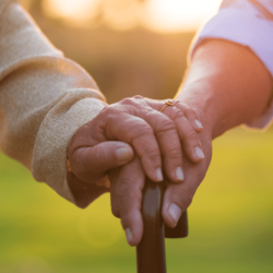 Companionship & Socialization