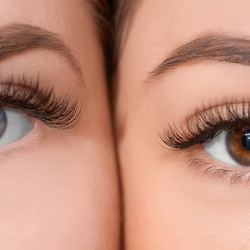 Waxing, Lashes, & Brows