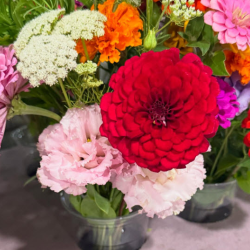 Selling the Bouquets