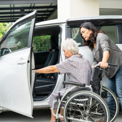 Scheduled Transportation Services