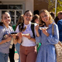Chocolate Covered Strawberries