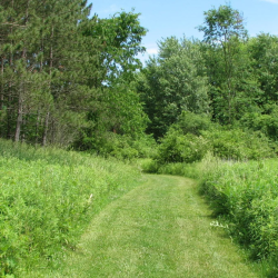Trail Activities