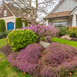 Seasonal Color and Landscaping Maintenance