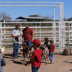 Pre-K - 3rd Grade Field Trips