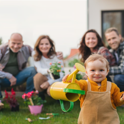 Family Advocacy and Collaborative Support