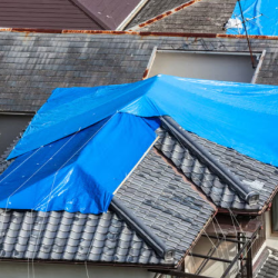 Roof Tarp & Board-Up