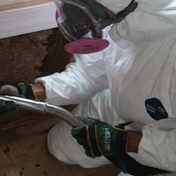 Mold Testing & Remediation