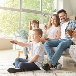 Air Purification & Allergen Removal