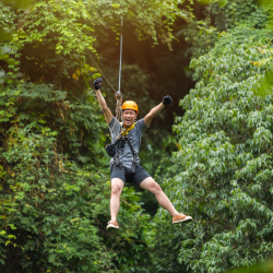 Shore Excursions