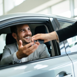 Flights & Car Rentals