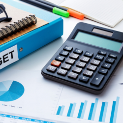 Professional Bookkeeping Services