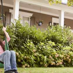 Home Insurance