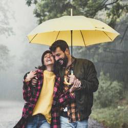 Umbrella Insurance