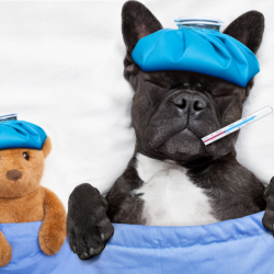 Emergency On-Call Care