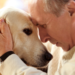 Animal Hospice Program
