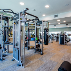 Fitness Lounge