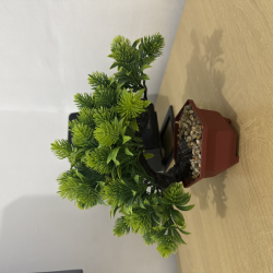 Artificial Bonsai Plant with Pebbles