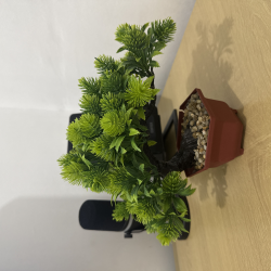 Artificial Mini Pine Plant in Pot